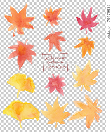 Watercolor hand-painted ginkgo and autumn leaves material illustration Watercolor hand-painted ginkgo and autumn leaves material illustration 79479953