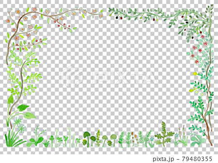 庭の草花と樹木の水彩イラストフレーム 79480355