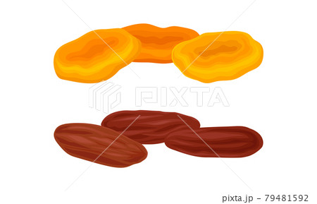 Sun Dried Fruit as Food with Sweet Taste and Nutritive Value Vector Set Sun Dried Fruit as Food with Sweet Taste and Nutritive Value Vector Set 79481592