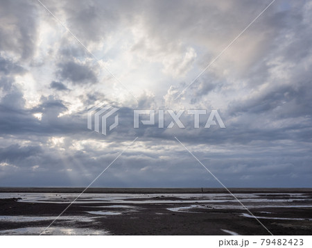 湿原 湿地 沼地 79482423