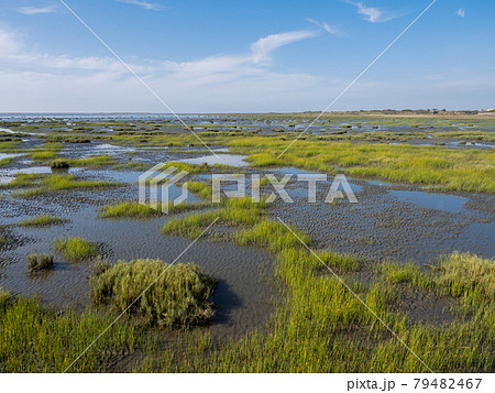 青い空 青空 ブルースカイ 79482467