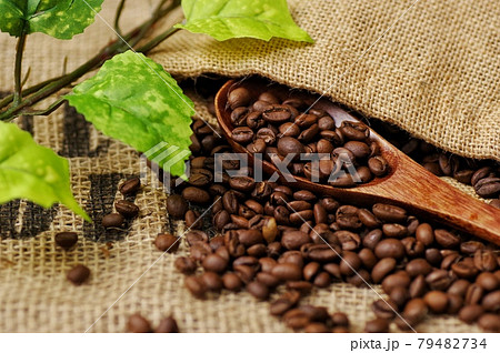 コーヒー豆 コーヒー豆 79482734