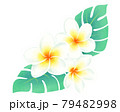 プルメリアとモンステラ 79482998