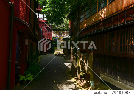 アジサイ咲く主計町茶屋街の景色 79483003