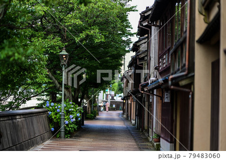 アジサイ咲く主計町茶屋街の景色 アジサイ咲く主計町茶屋街の景色 79483060