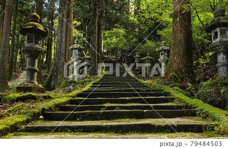 英彦山　高住神社の参道 79484503