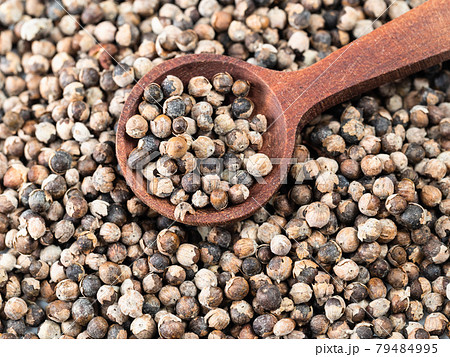 spoon on pile of monk's pepper (Vitex) closeup 79484995