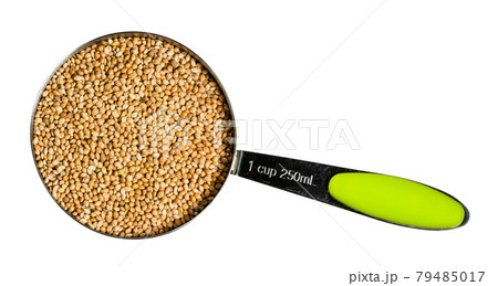 yellow proso millet seeds in measuring cup cutout 79485017