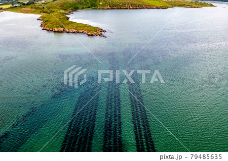 Aerial view of loyster farm by Ardara, County Donegal - Ireland 79485635