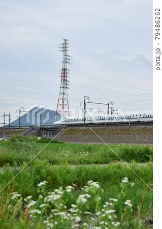 【滋賀】新幹線と近江富士 79486262