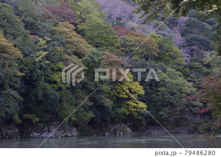 嵯峨野嵐山　桂川（大堰川） 79486280