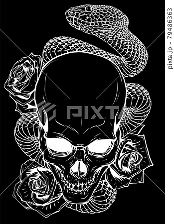 Vector Illustration Of Skull Roses And Snakeのイラスト素材