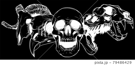 vector illustratio of animal skull art design 79486429
