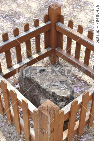 宝積寺の秀吉の出世石 宝積寺の秀吉の出世石 79486456