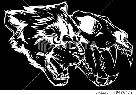 Cougar Panther Head with skull Vector illustration 79486478