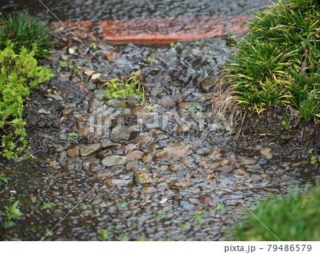 庭を流れる雨水 79486579