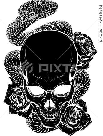 vector illustration of skull, roses and snake vector illustration of skull, roses and snake 79486662