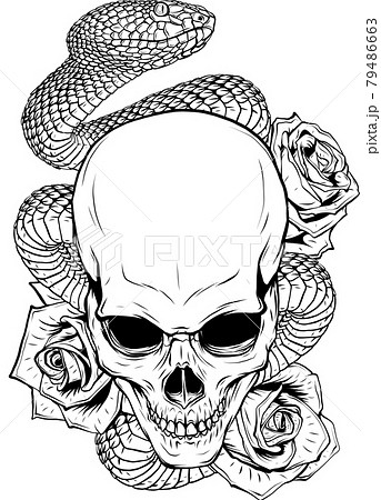 vector illustration of skull, roses and snake 79486663