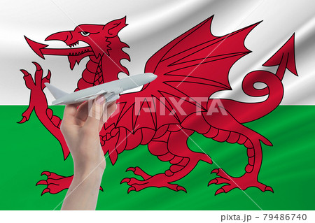 Airplane in hand with national flag of Wales. Travel to Wales 79486740