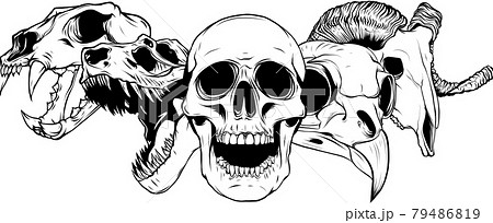 Vector Illustratio Of Animal Skull Art Designのイラスト素材