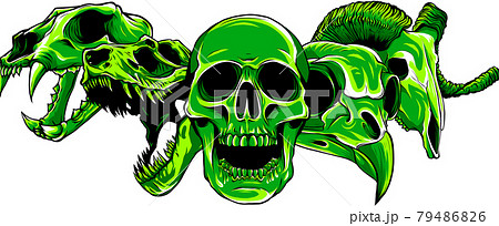 vector illustratio of animal skull art design 79486826