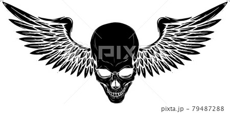 vector illustration of Skull with bird wings vector illustration of Skull with bird wings 79487288