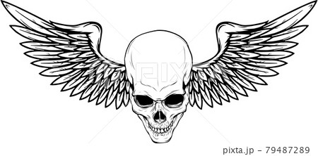 vector illustration of Skull with bird wings vector illustration of Skull with bird wings 79487289