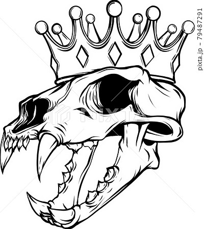 tiger skull with crown vector illustration design 79487291