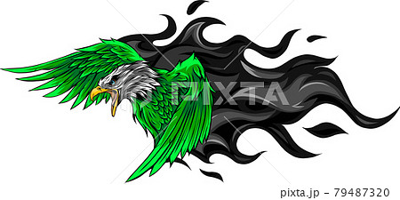 vector illustration of eagle with flames design 79487320