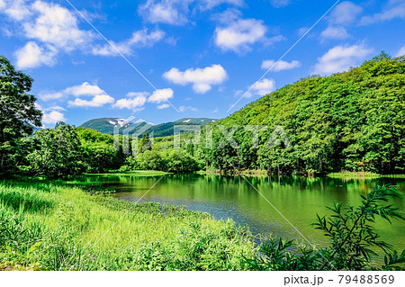 新緑の五色沼と月山 新緑の五色沼と月山 79488569