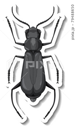 A sticker template with top view of a grasshopper isolated A sticker template with top view of a grasshopper isolated 79488650