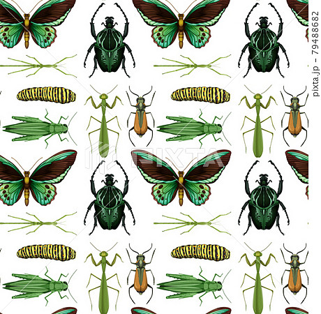 Seamless pattern with many insects on white background Seamless pattern with many insects on white background 79488682