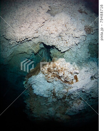 水中鍾乳洞(セノーテ) (プラヤ・デル・カルメン、メキシコ) 水中鍾乳洞(セノーテ) (プラヤ・デル・カルメン、メキシコ) 79488716