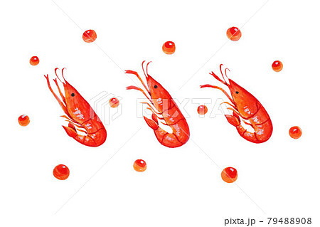 海老とイクラ 79488908