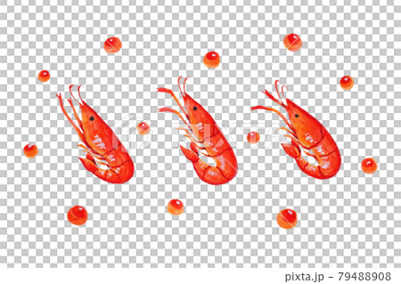 海老とイクラ 79488908