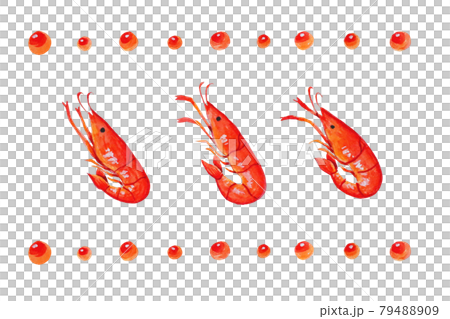 蝦和鮭魚子 79488909