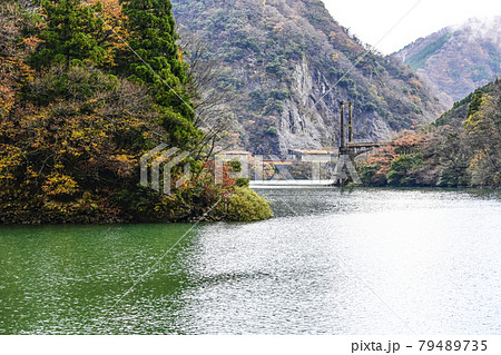 秋の庄川峡　クルーズ船から望む景観 79489735