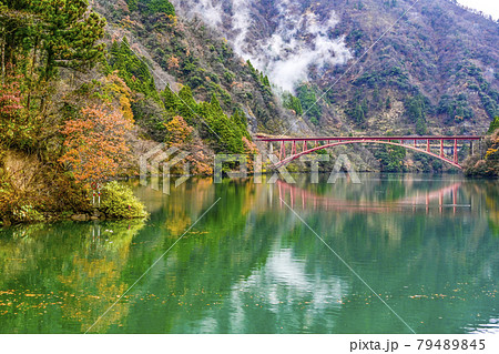 秋の庄川峡　クルーズ船から望む長崎大橋 79489845