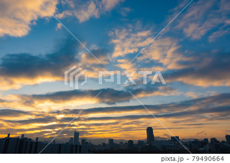 《広島市》日の出 79490664