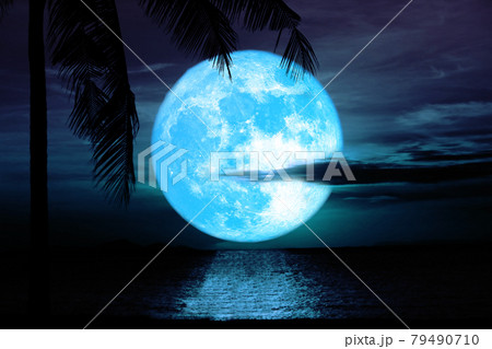 reflection flower blue moon rise back silhouette coconut tree and cloud over sea on the night sky reflection flower blue moon rise back silhouette coconut tree and cloud over sea on the night sky 79490710