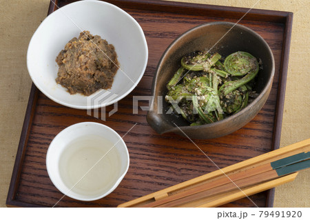 春の小鉢と日本酒 79491920