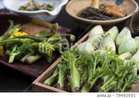 春の山菜と旬の料理 春の山菜と旬の料理 79492031
