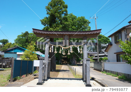 おゆみ野の風景 79493077