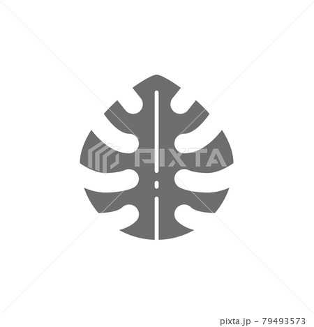 Tropical palm leaf, monstera leaf plant gray icon. 79493573