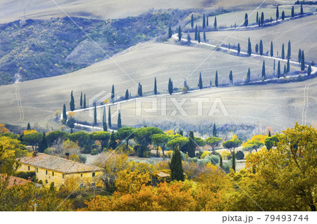 Beautiful Tuscany countryside- winding road with cypresses. Italy 79493744