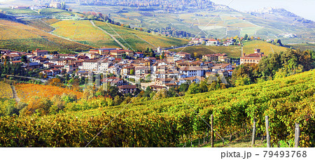 Autumn scenery with vast fields of vineyards. Piedmont, Barolo village and castle. Wine tour in Italy 79493768