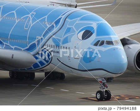 A380フライングホヌ 79494188