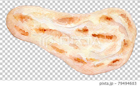 水彩イラスト　インドカレー 79494683
