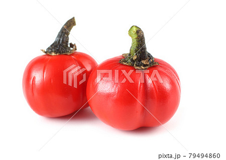 File:African scarlet eggplant (Solanum aethiopicum).jpg - Wikimedia Commons