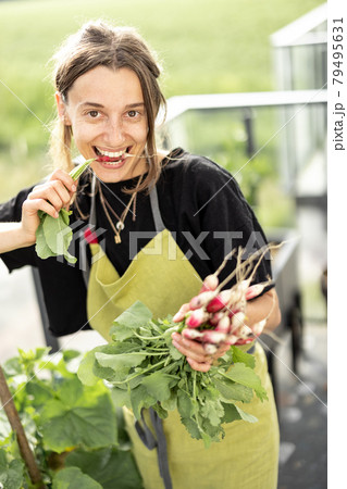 Farmers holding fresh radish in hands at home garden Farmers holding fresh radish in hands at home garden 79495631